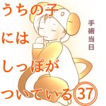 うちの子にはしっぽがついている37