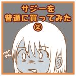 サジーを普通に買ってみた②